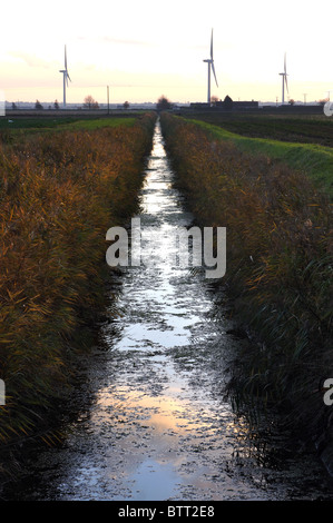 Entwässerung-Kanal und Wind Farm auf Tick Fen, in der Nähe von Chatteris Cambridgeshire, England, UK Stockfoto