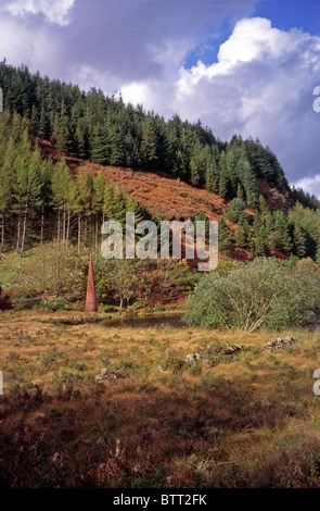 "Das Auge" Skulptur (1997) von Colin Rose am schwarzen Loch, Galloway Forest Park, Dumfries & Galloway, Schottland Stockfoto