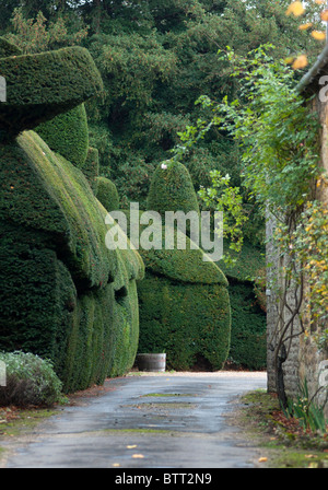 Interessante Hecke im Cotswold Village des Broadway in Worcestershire, Großbritannien gesehen Stockfoto