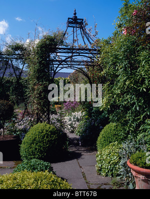 Rose Pergola, Sandford Road, Dublin, Irland Stockfoto