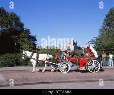 Pferdekutsche, Central Park, Manhattan, New York, New York State, Vereinigten Staaten von Amerika Stockfoto