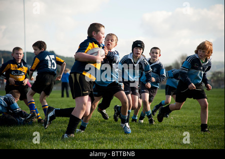 Aberystwyth Rugby Club unter 10 Jahre junior Spieler das Spiel an einem Sonntagmorgen, Wales UK Stockfoto