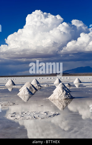 Salz-Kegel, Salar de Uyuni, Potosi, Bolivien Stockfoto