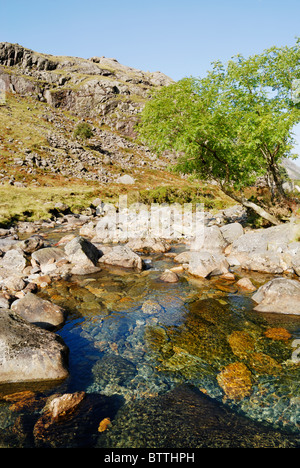 Afon Nant Peris, der Fluss durch den Llanberis Pass und das Dorf Nant Peris, Llyn Peris fließt. Stockfoto