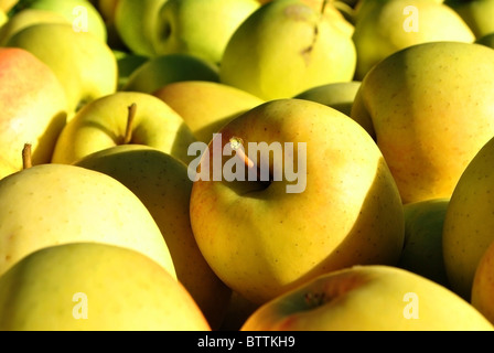 Textur gelbe Äpfel Stockfoto