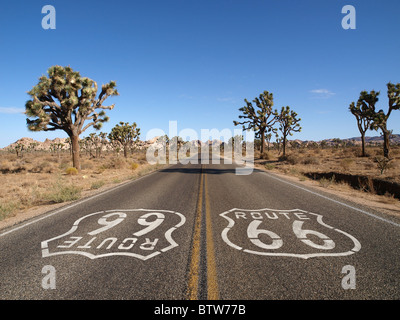 Route 66 mit Joshua Bäume tief im Inneren der kalifornischen Mojave-Wüste. Stockfoto