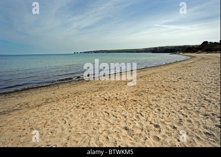 Studland Beach in Dorset Stockfoto