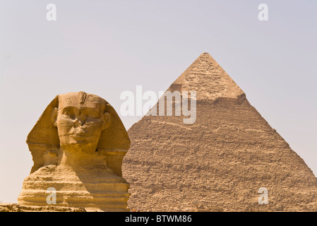 Die große Sphinx mit der Pyramide des Chephren in Gizeh, Ägypten Stockfoto