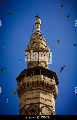 Minarett der großen Moschee Umayad, Damaskus, Syrien Stockfoto