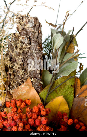 Die Herbstzusammensetzung bildet trockene Blätter und Rowan Stockfoto