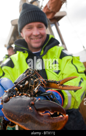 Pro Karlsson von Evert Sjobod, Grebbestad, gefangen mit frisch männlichen Hummer auf einem Boot vor der westlichen Küste von Schweden Stockfoto