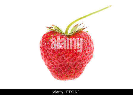 strawberry Stockfoto