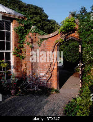 Beaulieu-Haus und Garten, Drogheda, Co Louth, Irland; Glyzinien und Jasmin in der Nähe von Tor zum ummauerten Garten Stockfoto