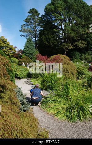 Sizergh & Schlossgarten ist eine Burg, Herrenhaus und Garten in Sizergh, Cumbria, England, UK Stockfoto