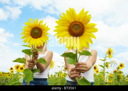 Porträt von niedlichen Mädchen versteckt sich hinter Sonnenblumen an sonnigen Tag Stockfoto