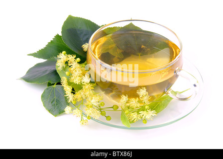 T-Stück Lindenblüte - Tee aus Lindenblüten 01 Stockfoto