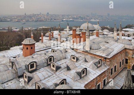 Die Schornsteine auf den Dächern der Harem, Topkapi Palast, Istanbul, Türkei Stockfoto