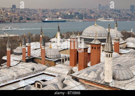 Die Schornsteine auf den Dächern der Harem, Topkapi Palast, Istanbul, Türkei Stockfoto