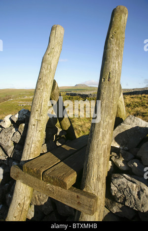 Blick über Holz Leiter Stil die fernen Gipfel des Pen-y-Gent, Yorkshire Dales, England. Stockfoto