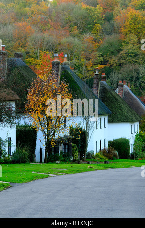 Milton Abbas, dem berühmten Dorset Dorf umgeben von Kreide Hügel, im Herbst mit strohgedeckten Hütten. Dorset, UK-Oktober 2010 Stockfoto
