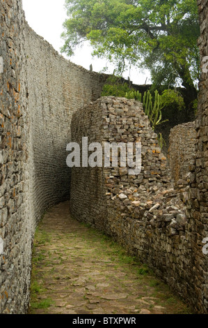 Im Innern des großen Gehäuses an Ruinenstadt Groß-Simbabwe Stockfoto