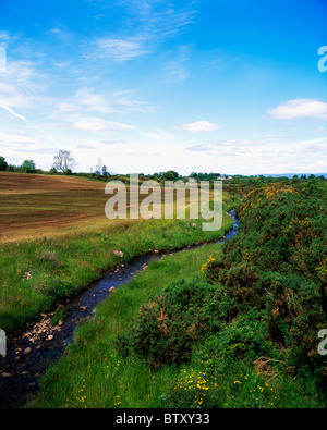 Co Mayo, Irland; Feld nach Muck Verbreitung Stockfoto