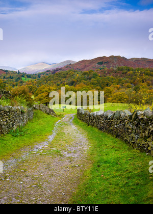 Blick über Loughrigg fiel auf Great Rigg von der Park Farm bei Skelwith Bridge im Lake District National Park, Cumbria, England. Stockfoto