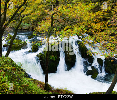 Colwith Force Wasserfall auf dem Fluß Brathay im Lake District National Park in der Nähe von Colwith, Cumbria, England. Stockfoto