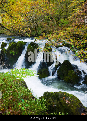 Colwith Force Wasserfall auf dem Fluß Brathay im Lake District National Park in der Nähe von Colwith, Cumbria, England. Stockfoto