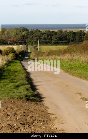 Typische Feldweg hinter Dornweiler an der Nordküste Norfolk, England Stockfoto