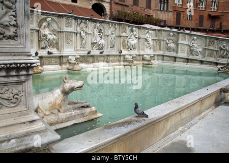 Gaia Brunnen auf der Piazza del Campo in Siena Stockfoto