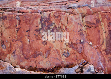 Boquillas Bildung Kalkstein und Schiefer verdreht Schichten im Ernst Canyon, Chihuahua-Wüste in Big Bend Nationalpark, Texas, USA Stockfoto