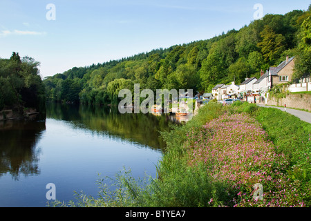 Blick auf den Fluss Wye bei Symonds Yat Stockfoto