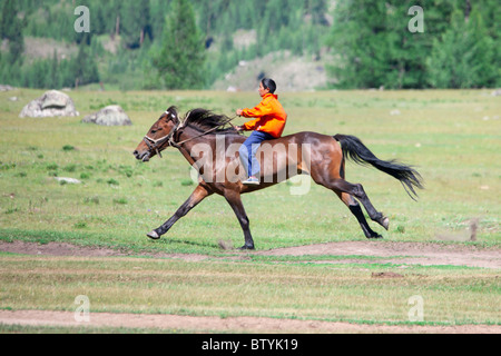 Asiatische junge geht sehr schnell auf dem Pferderücken durch die steppe Stockfoto