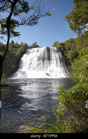 Papakorito Falls, Te Urewera Nationalpark, Eastland, Nordinsel, Neuseeland Stockfoto