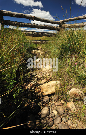 Trockene Bachbett, Fraser River Basin, Fraser, Colorado Stockfoto