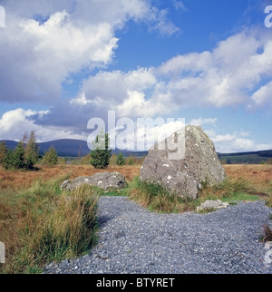 Bruces Stein am Clatteringshaw Loch, Galloway Forest Park, Schottland Stockfoto