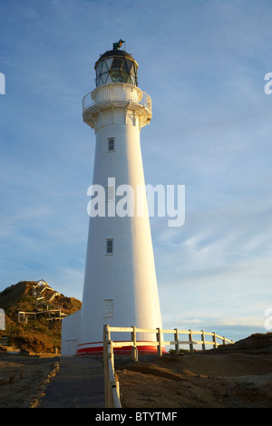 Castle Point Leuchtturm Castlepoint, Wairarapa, Nordinsel, Neuseeland Stockfoto