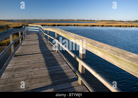 Ein Holzsteg durch die Salzwiesen auf Assateague Island National Seashore Stockfoto