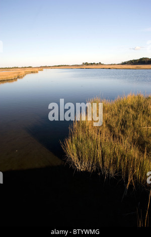 Gezeiten Einlass durch einem salzigen Sumpf auf Assateague Island National Seashore Stockfoto