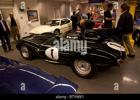 Jaguar D Type kurze Nase Le Mann 1954 Le Mans racer Stockfoto