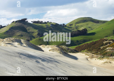 Sanddünen, Sandfly Bay, Otago Peninsula, Dunedin, Otago, Südinsel, Neuseeland Stockfoto