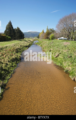 Silber-Stream und Floodbanks, Mosgiel, Dunedin, Otago, Südinsel, Neuseeland Stockfoto