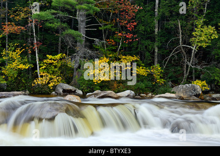 Lower Falls am Fluss Swift mit Herbst Farbe in den White Mountains National Forest in New Hampshire Stockfoto