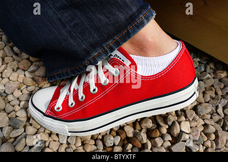 Einzige weibliche rote Leinwand Sneaker. Stockfoto