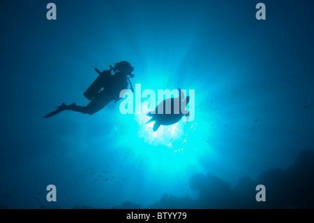 Silhouette eines Tauchers und Schildkröte, Schwimmen in der Nähe der Oberfläche, mit Sunburst, Sipadan, Sabah, Malaysia Stockfoto