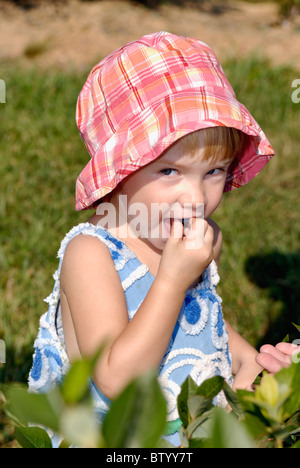 Kleine Mädchen essen Blaubeeren auf Bauernhof im Harrison County, Indiana Stockfoto