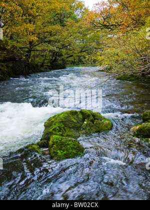 Skelwith Kraft Wasserfall auf dem Fluss Brathay an Skelwith Bridge im Nationalpark Lake District, Cumbria, England. Stockfoto