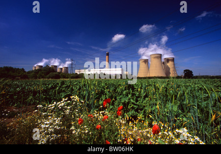 wilde Blumen wachsen auf Gebiet von Drax Kohle betriebene Kraftwerk Drax Yorkshire uk Stockfoto