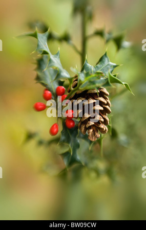 Eine festliche Niederlassung von Holly und rote Winter Beeren mit einem Tannenzapfen Stockfoto